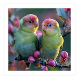 Two Lovebirds On A Branch Surrounded By Berries (Print Only) thumbnail