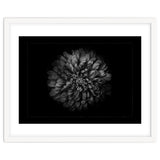 Backyard Flowers In Black And White No 68 with Border thumbnail