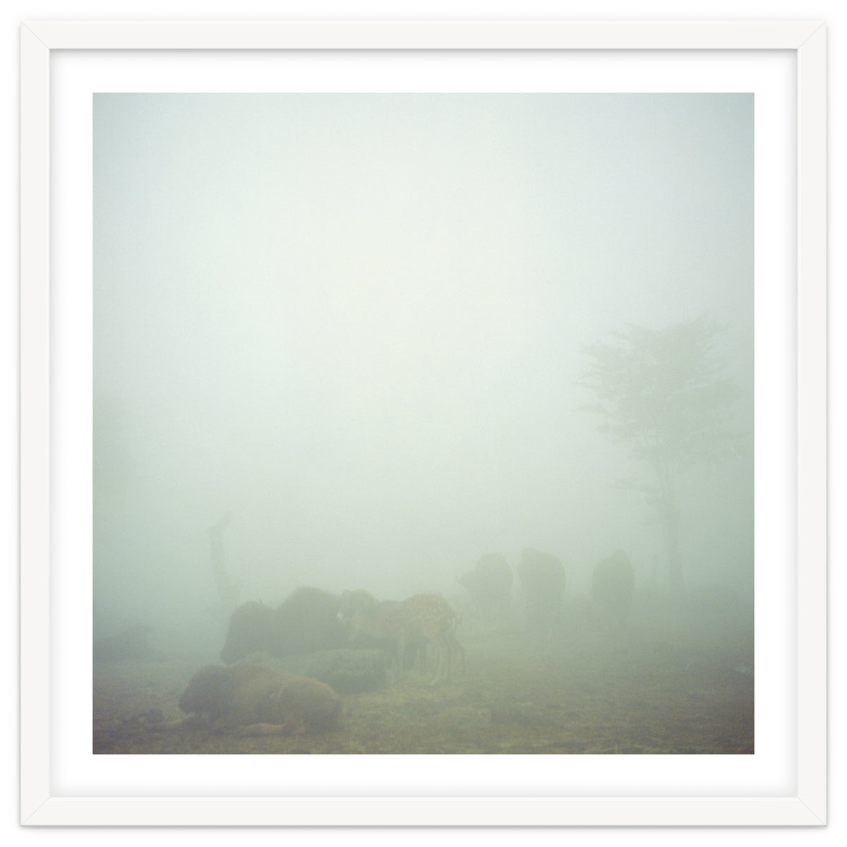 Silence of breath - 03