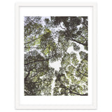 Mother Nature thumbnail