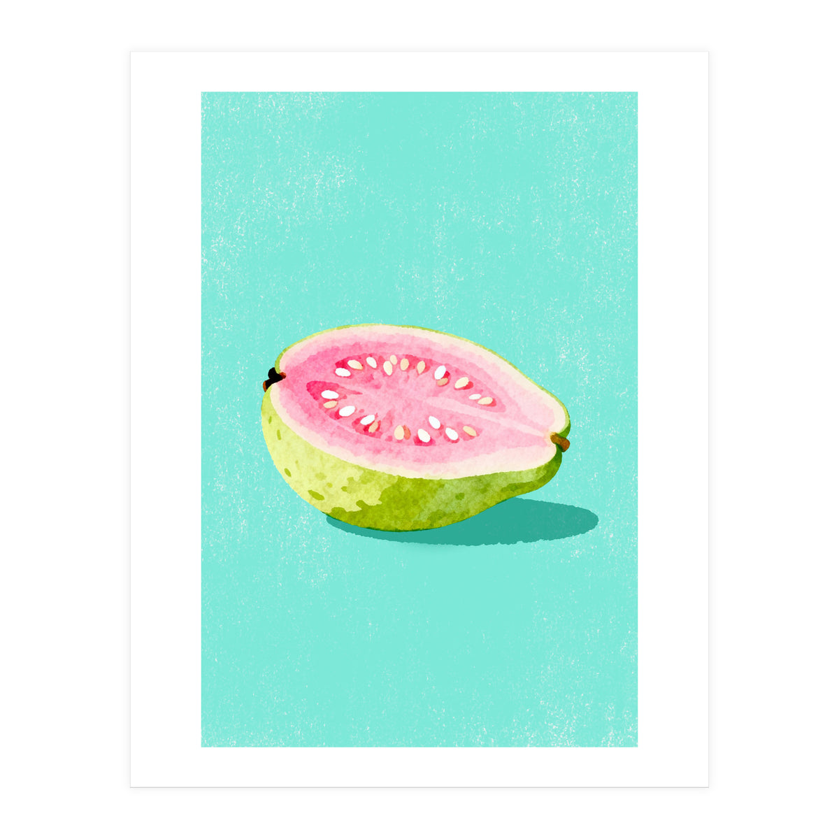 Guava Fruit Illustration (Print Only)