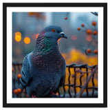 Pigeon With Water Droplets thumbnail