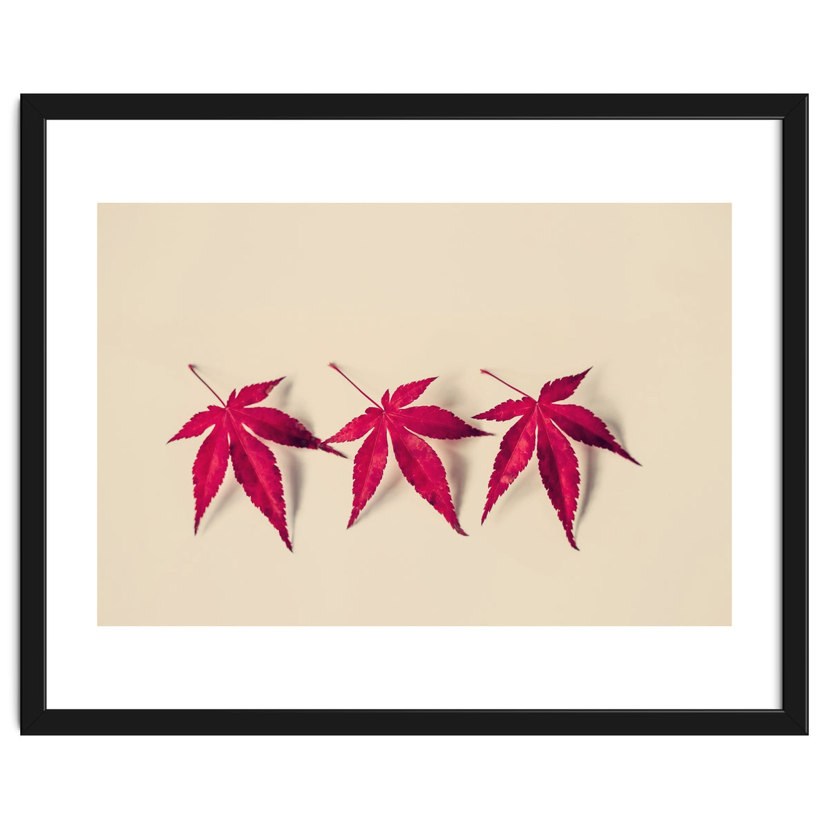 Dancing Leaves