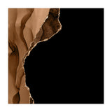 Brown & Gold Agate Texture 09 (Print Only) thumbnail