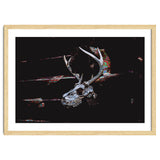 Deer Skull thumbnail