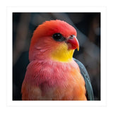 Vibrant Tropical Bird  (Print Only) thumbnail
