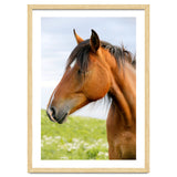 Horse Portrait thumbnail