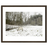 White horse in the snow field thumbnail