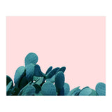 Kaktos (Print Only) thumbnail