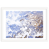 Coral Blooming thumbnail