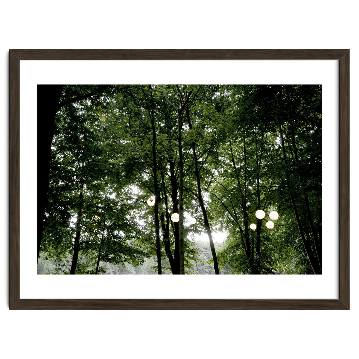 Light bulb among the trees in the summer forest