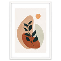 Soft Shapes II