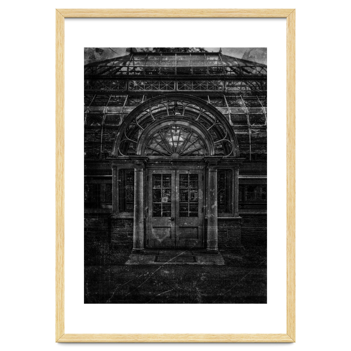 Allan Gardens Conservatory Palm House No 5 Old Film Version