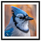 Blue Jay Bird Close Up Detailed Portrait thumbnail
