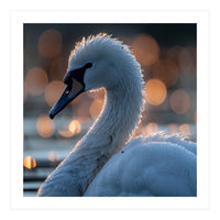 Close-up Shot of a Swan with Water Droplets (Print Only)