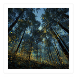 Celestial Forest Canopy with Swirling Golden Fireflies and Deep Twilight Blue Sky Digital Art (Print Only) thumbnail