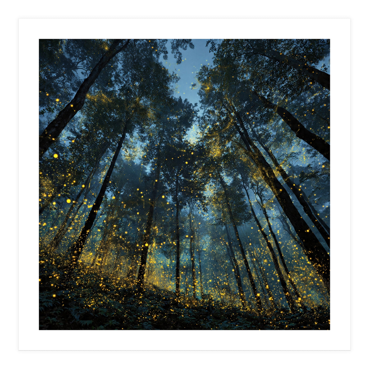 Celestial Forest Canopy with Swirling Golden Fireflies and Deep Twilight Blue Sky Digital Art (Print Only)