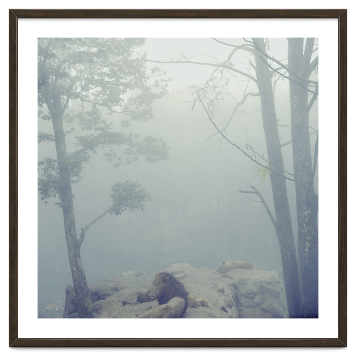 Silence of breath - 02