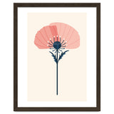 Pink Half Poppy thumbnail