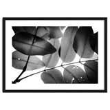 Branches and Leaves, 2016, 3 thumbnail