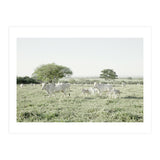 LIVING TOGETHER - WHITE COWS FAMILY (Print Only) thumbnail