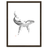 Whale thumbnail