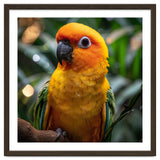 Sun Conure Parrot Colorful Bird Perched On Branch thumbnail