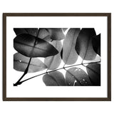 Branches and Leaves, 2016, 3 thumbnail