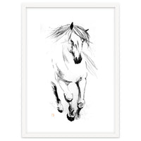 Runninh Ghorse In Water