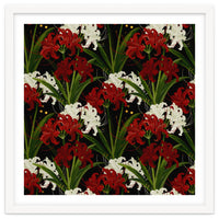 Red and White Spider Lily Flower Print Elegant Botanical Japanese Inspired Floral Artwork