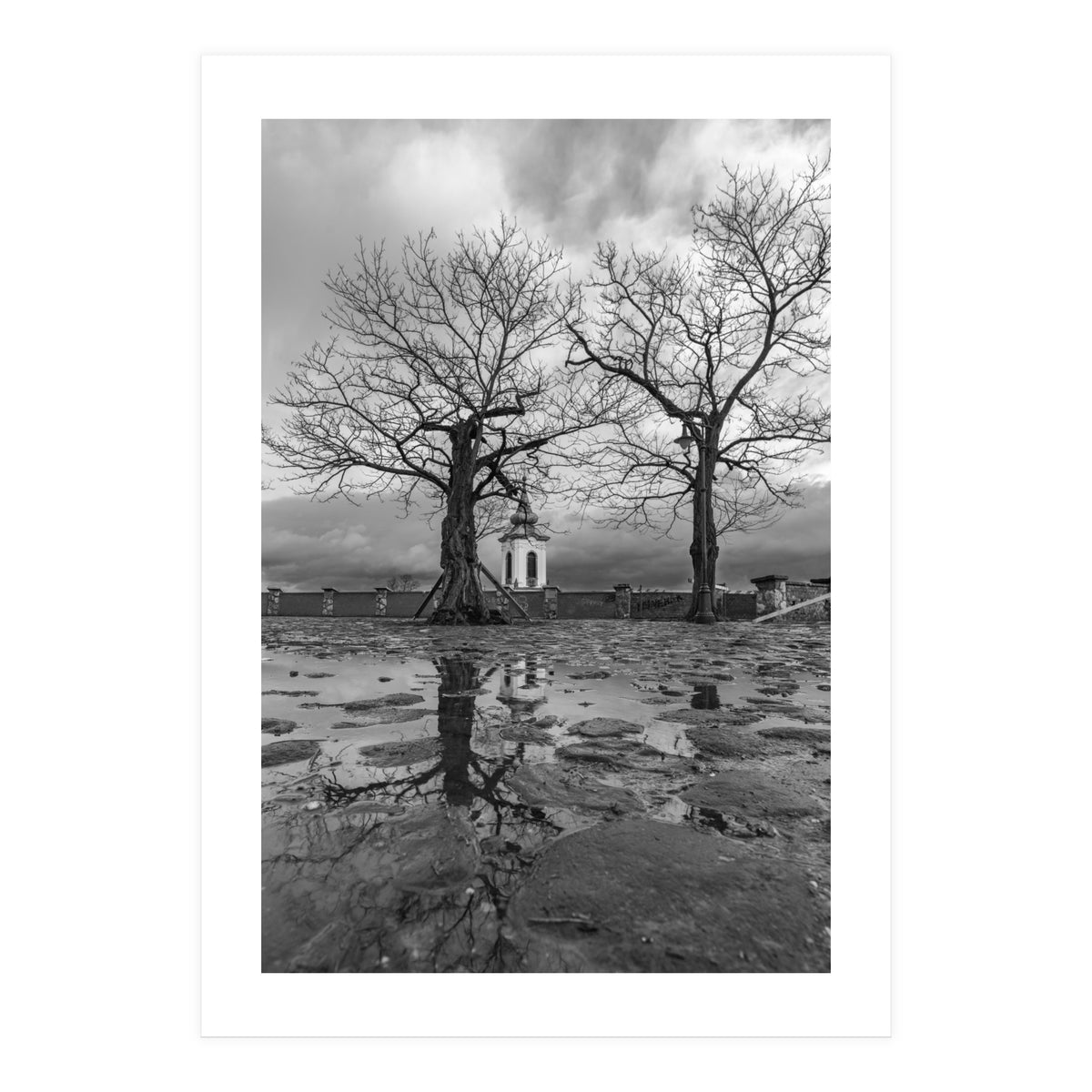 Churches and trees (Print Only)