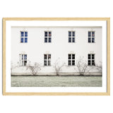 Small trees in between the windows thumbnail