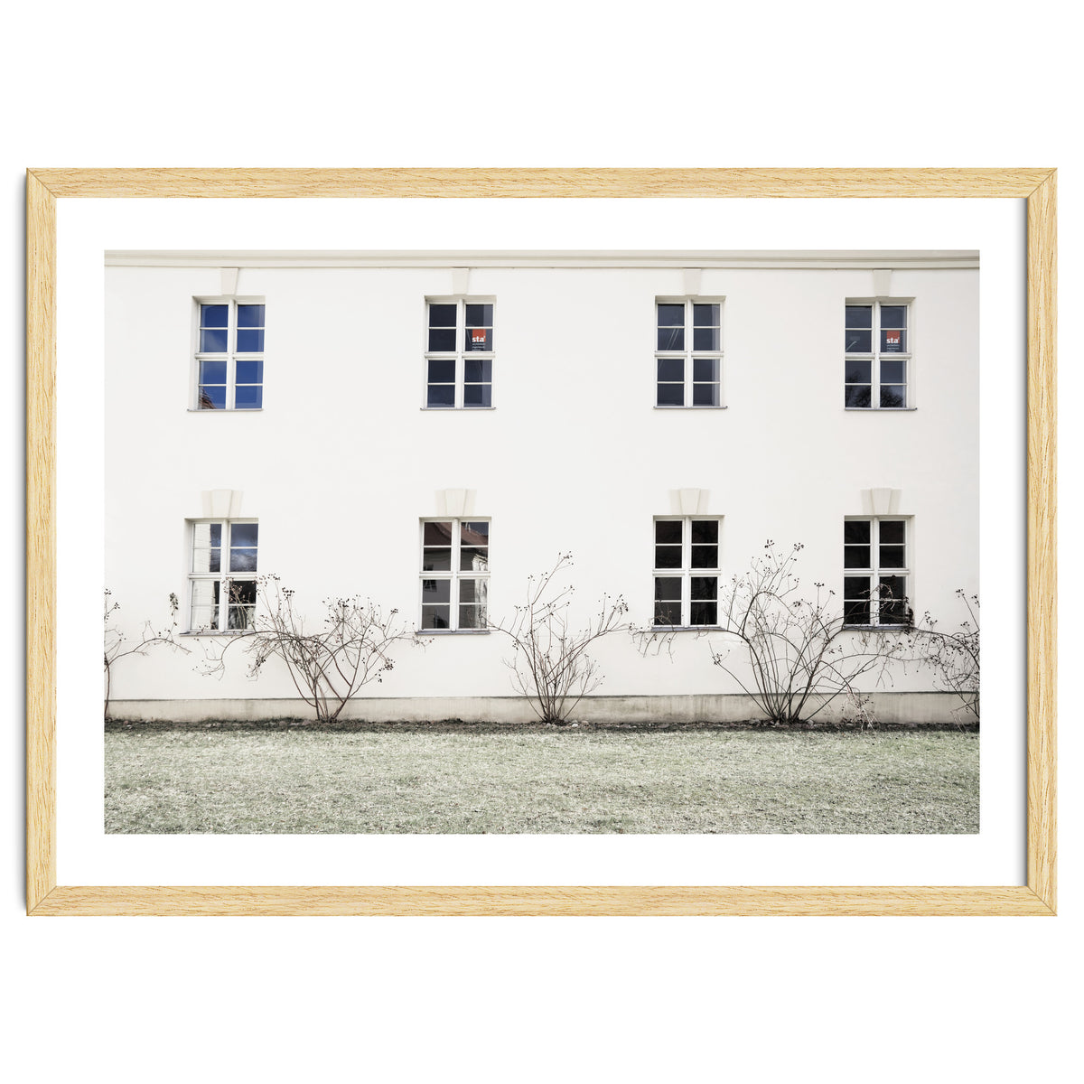 Small trees in between the windows