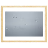 Flying seagulls in the winter sky thumbnail