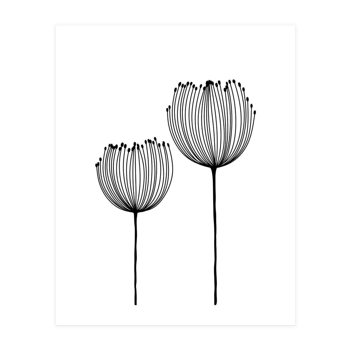 Two wildflowers (Print Only)