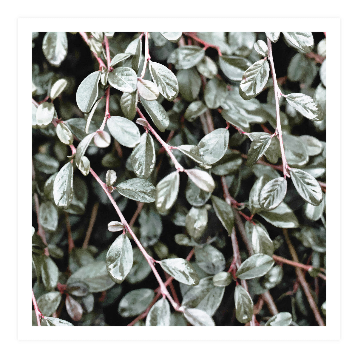 Rain #society6 #decor #buyart (Print Only)