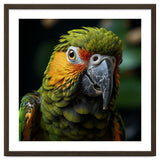 Close Up Of A Colorful Macaw Parrot Face thumbnail