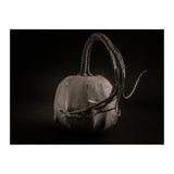 Gourds No 14 (Print Only) thumbnail