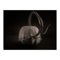 Gourds No 14 (Print Only)