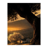 The Hill (Print Only) thumbnail