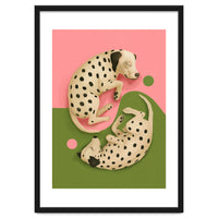 Yin And Yang Dalmatians
