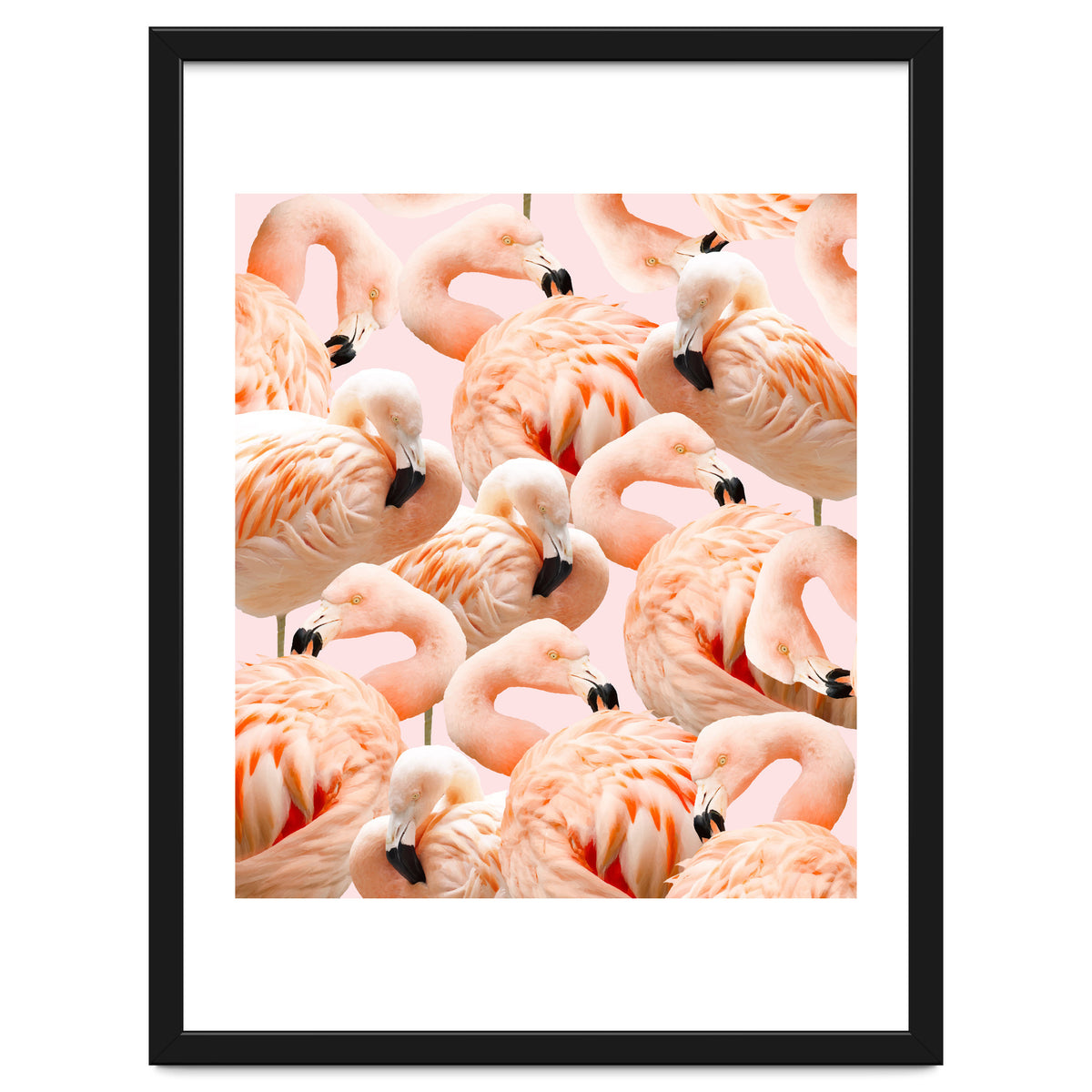 Flamingo Blush #society6 #decor #buyart #flamingoart