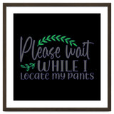 Please Wait While I Locate My Pants thumbnail