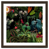 Moody Botanical Midnight Jungle Birds thumbnail