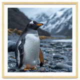 Gentoo Penguin Standing On A Rocky Shore thumbnail