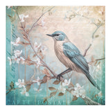 Bird Vintage Nostalgia II (Print Only) thumbnail