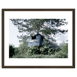 Blue hut on the tree thumbnail