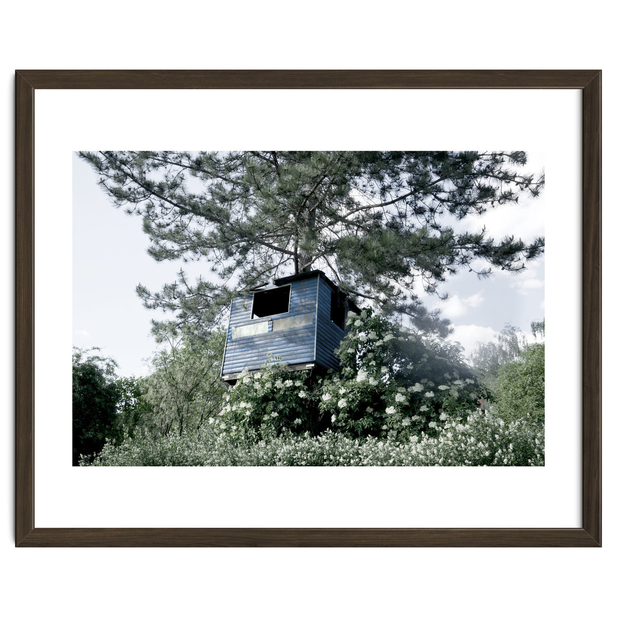 Blue hut on the tree