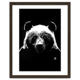 Black Panda thumbnail