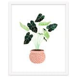 Home Plant | Ceramic Botanical Planter Illustration | Minimal Bohemian Watercolor Painting Polka Dot thumbnail